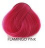 Toner La riche Directions flamingo pink