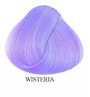Toner La riche Directions wisteria